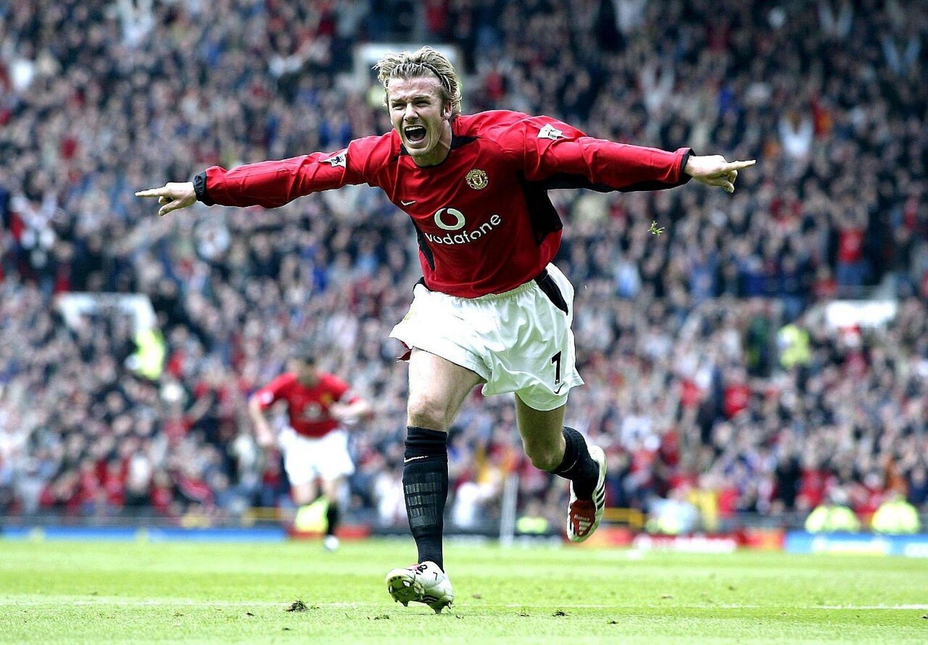 例可以帮助 例可以帮助