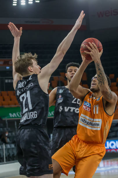 鹿队以其彪 鹿队以其彪